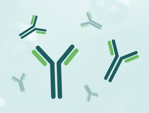 ���¡���嶨��