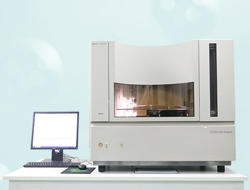 ����Ч��