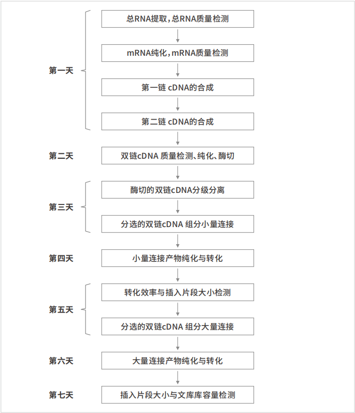 ×ðÁú¿Ê± - ÈËÉú¾ÍÊDz«!