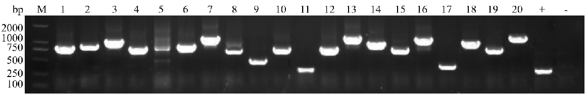 Ĥ������ʱ��ĸ˫�ӽ������Լ���