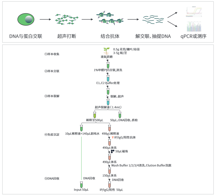 ������ʱ - �������ǲ�!